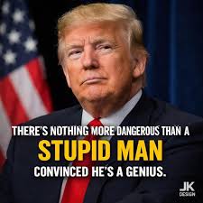 Linda Lou tweet media