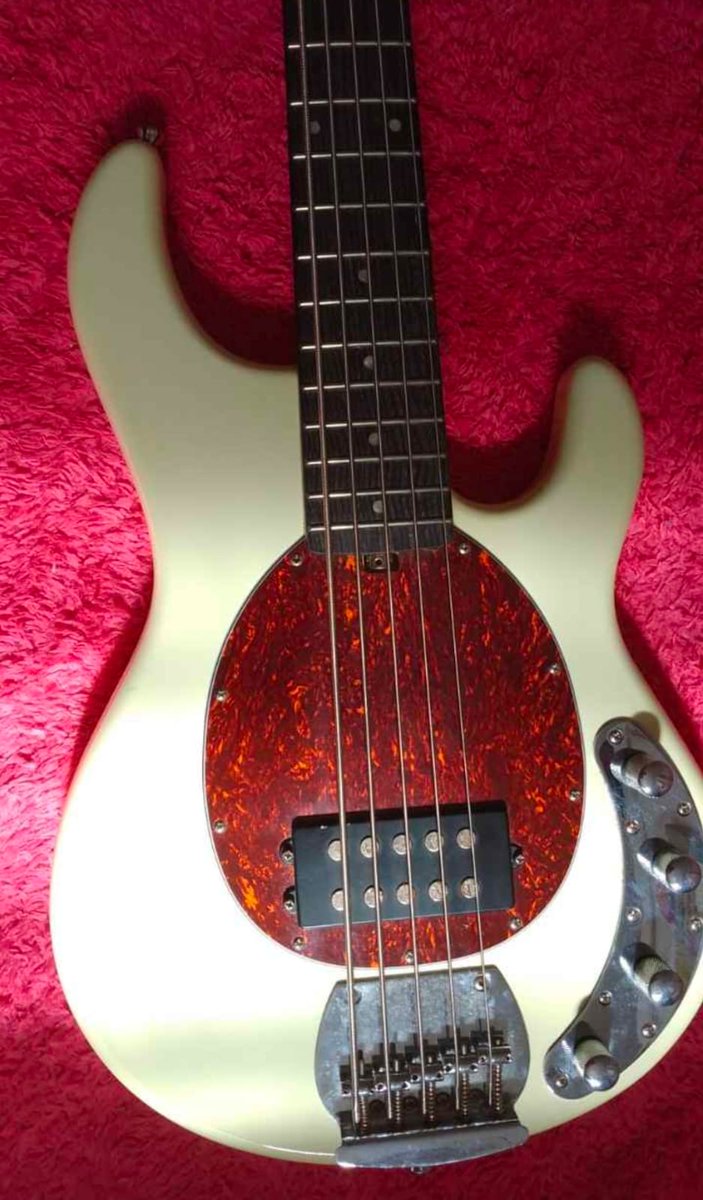 vriskabot 3000 🕷 tweet media