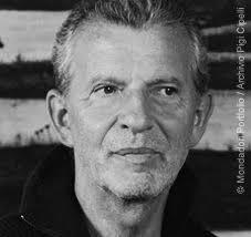 Davide L-P tweet media