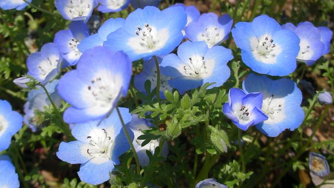 honky_tonk's tweet image. エゴの次元を諦め【意識】がその先へと進む為、行き詰まりが訪れます。

手を放されてください。
何もない虚空へ投げ出されるかに感じますが、次なる着地点はシカと用意されています。

でなければ、破壊現象は起きないんですよ。
最後のネックが当人の執着であるだけ。
#release #手放す