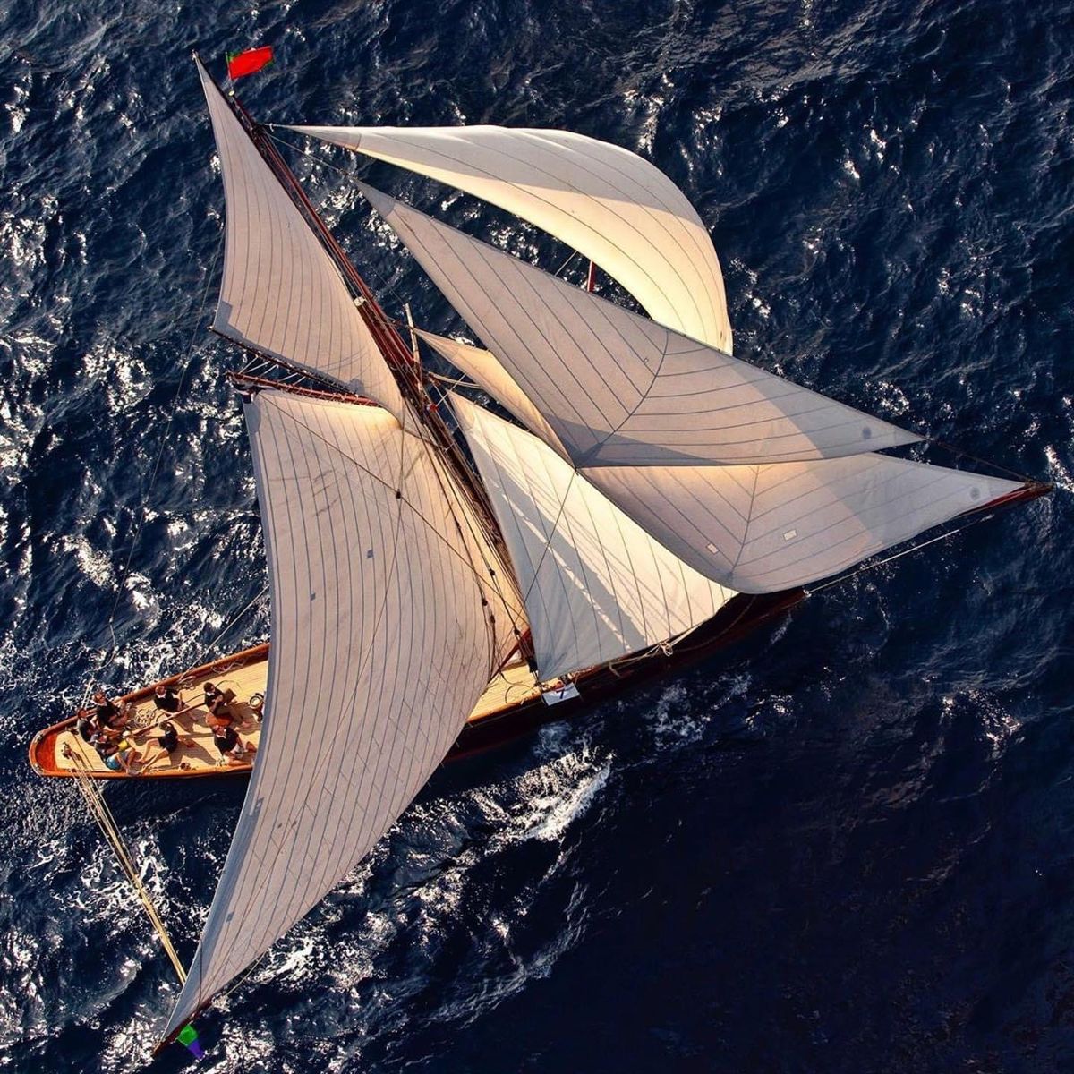 Delight Moments tweet media