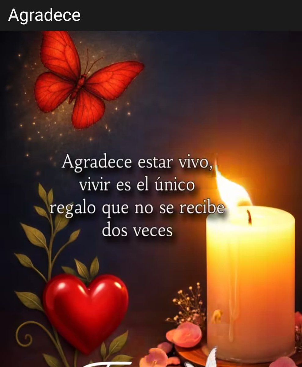 Marisol Vargas tweet media