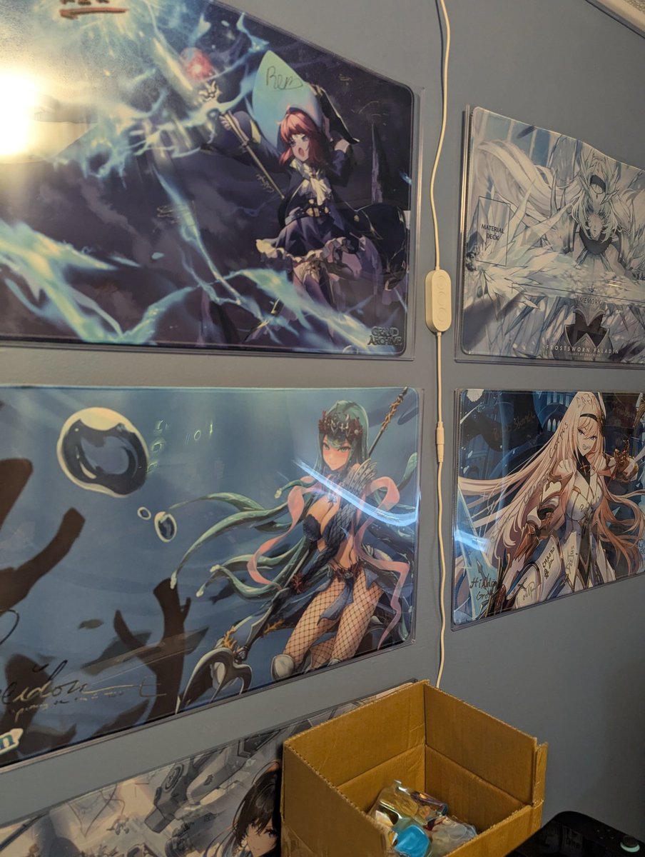 I can't be the only one who likes to display their playmats right..