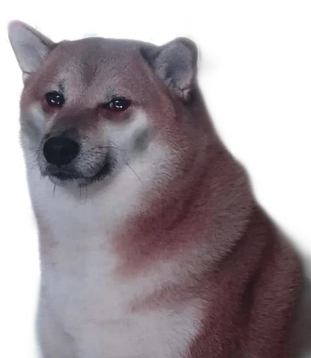 Anonymous Frog Man tweet media