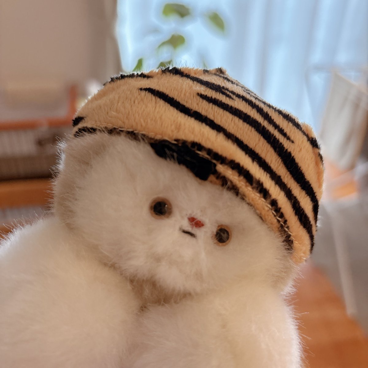 おはよ