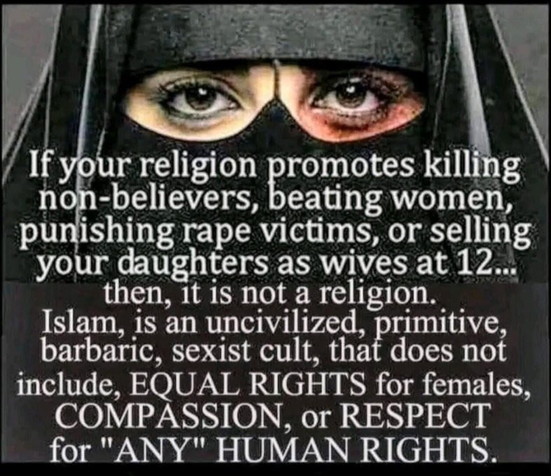 <a href="/MbarkCherguia/">Liberta Cherguia 🇪🇺</a> It’s not the clothes - it’s the clothing represents a oppressed population of women.