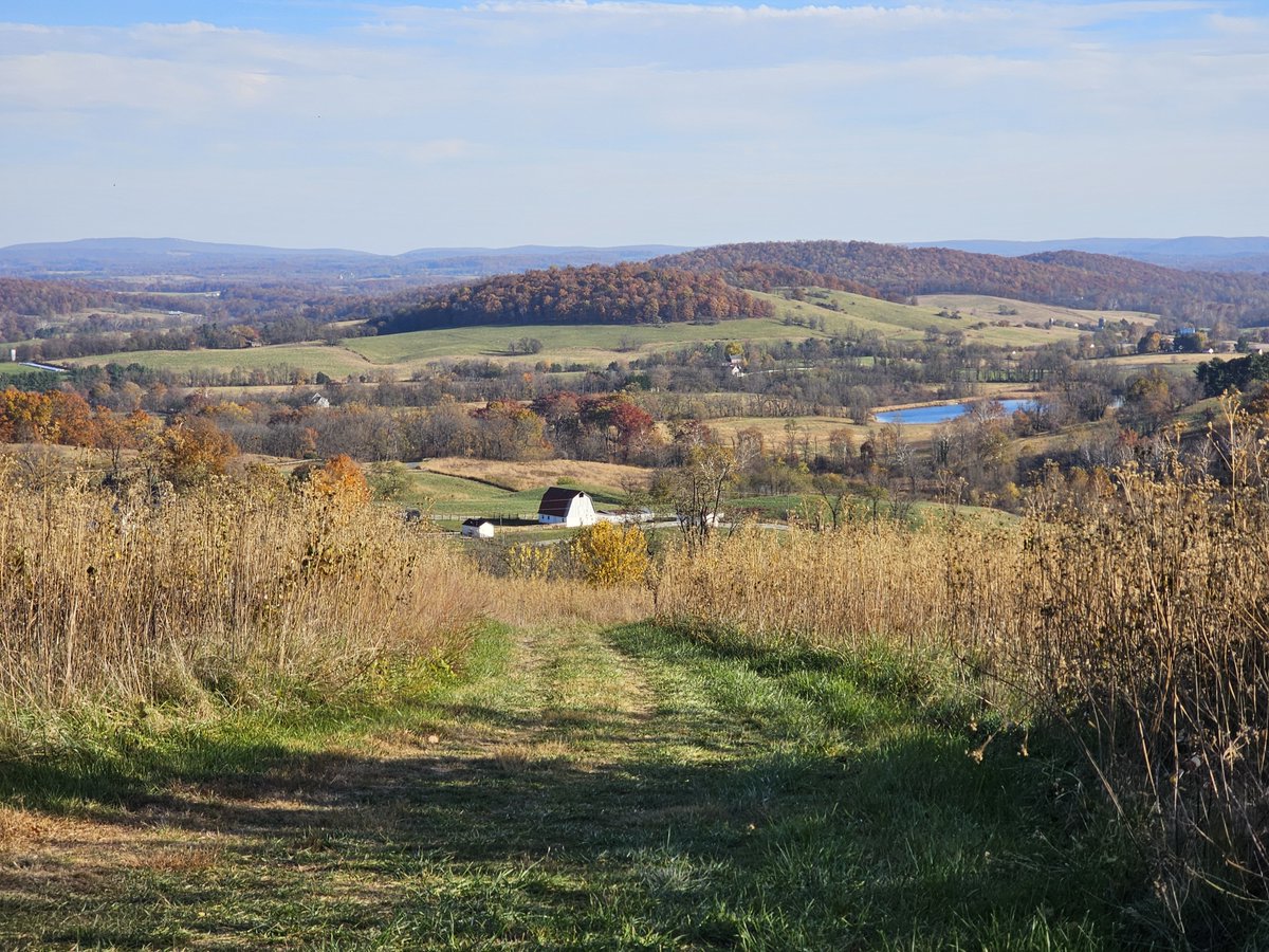 Doug Schneeberg tweet media