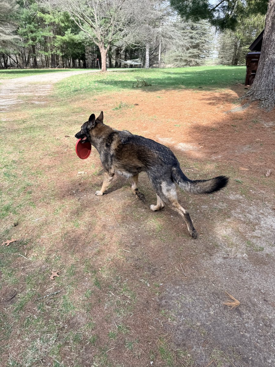 Kim Maida tweet media