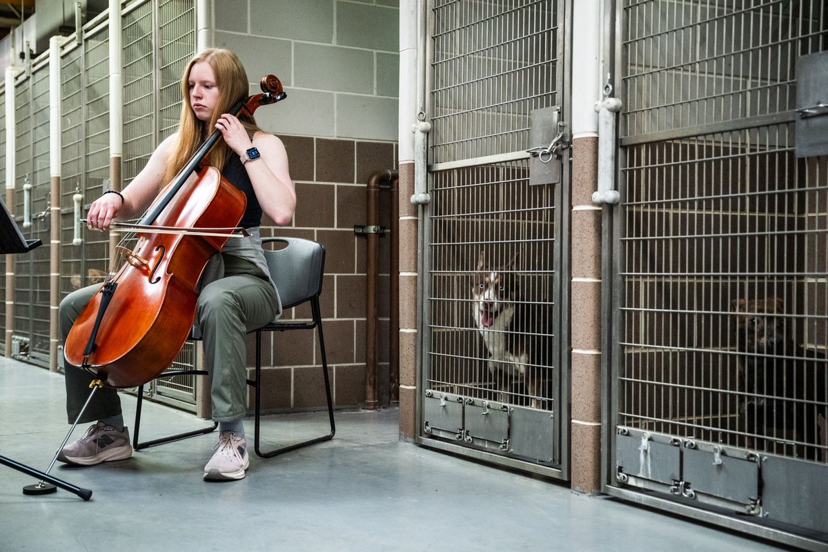 Block Club Chicago tweet media