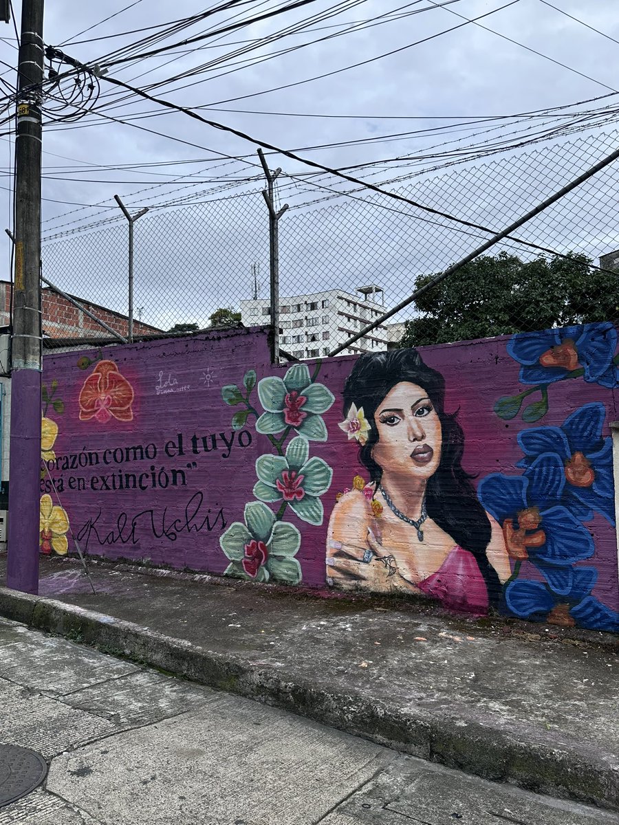 lWishYouRoses's tweet photo. El mural de kali uchis en pereira, Colombia hecho por @/lolaa_artee 🫶🏻 https://t.co/2HAC5OkBHO