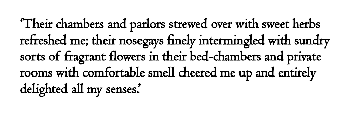 Leopard Lady tweet media