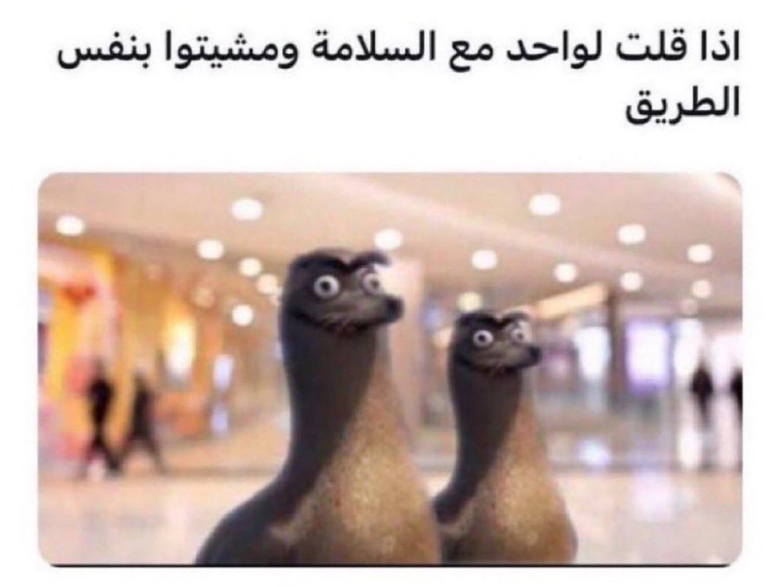 ميرا tweet media