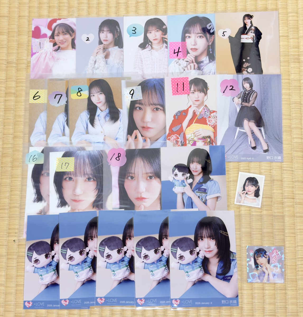 ちさってぃ@求 固ツイ tweet media