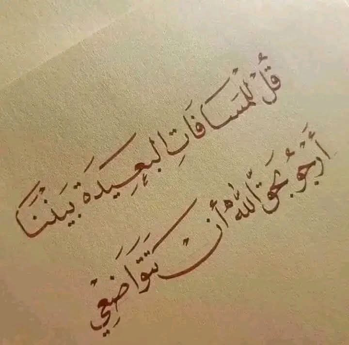 🦋 NoNa 🦋 tweet media