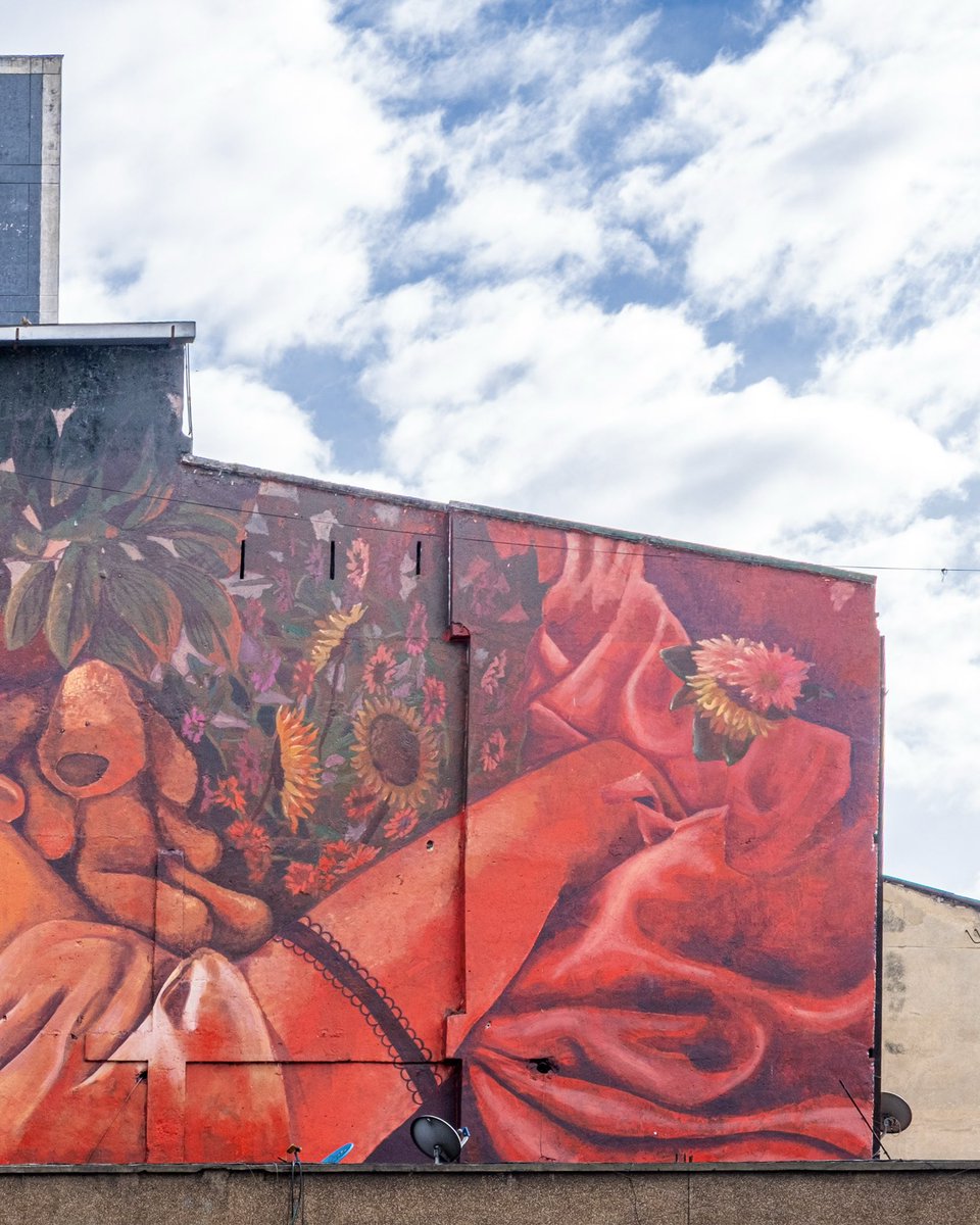 Museo de Bogotá tweet media