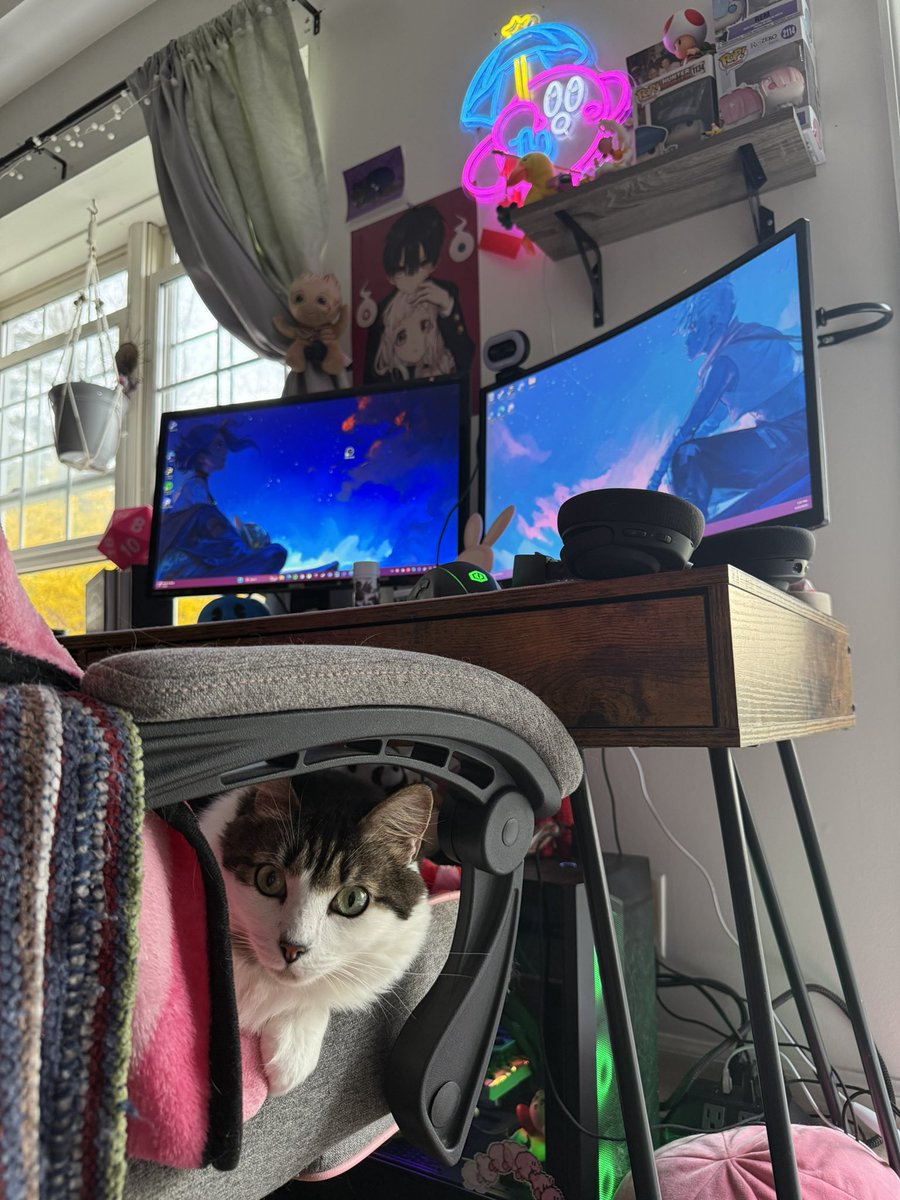 𝒦𝐼ℛℬ𝒴𑁤 tweet media