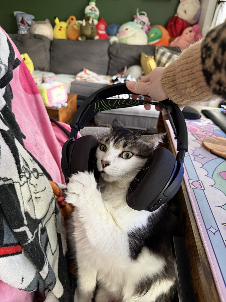 𝒦𝐼ℛℬ𝒴𑁤 tweet media