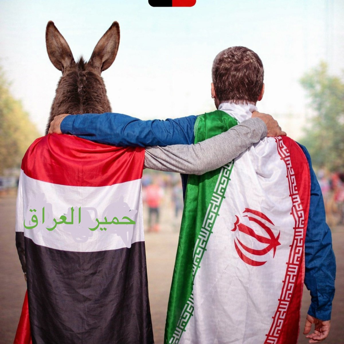 A.S. Al ghamdi tweet media