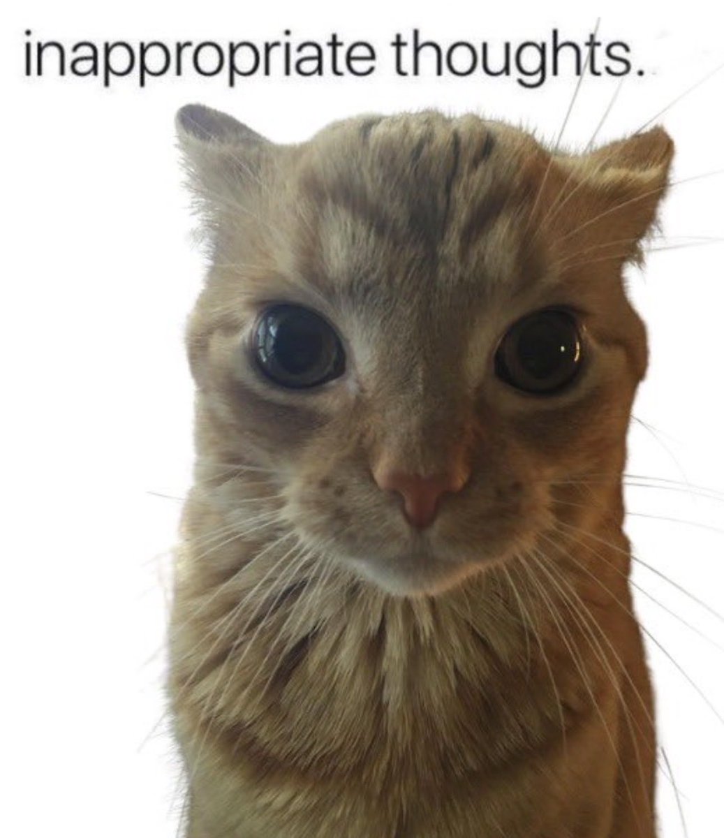 Sometimes you can’t help yourself