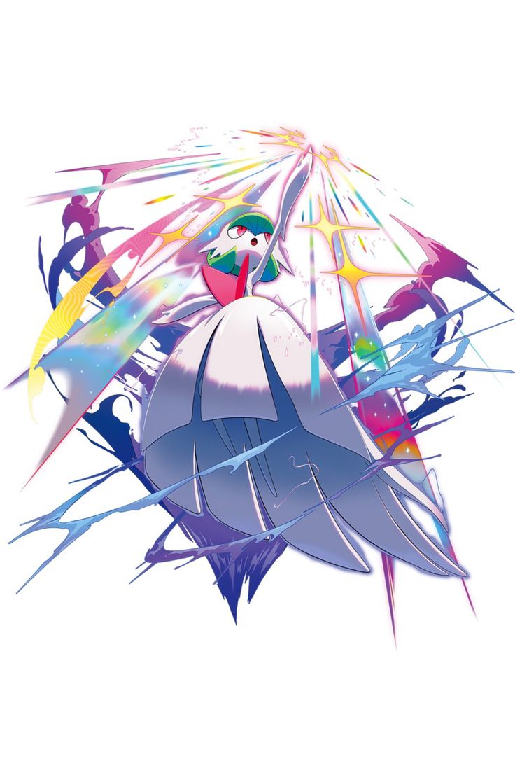 Collector Select tweet media