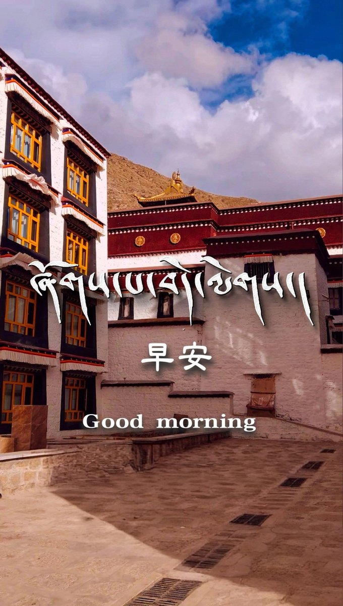 我在西藏 tweet media