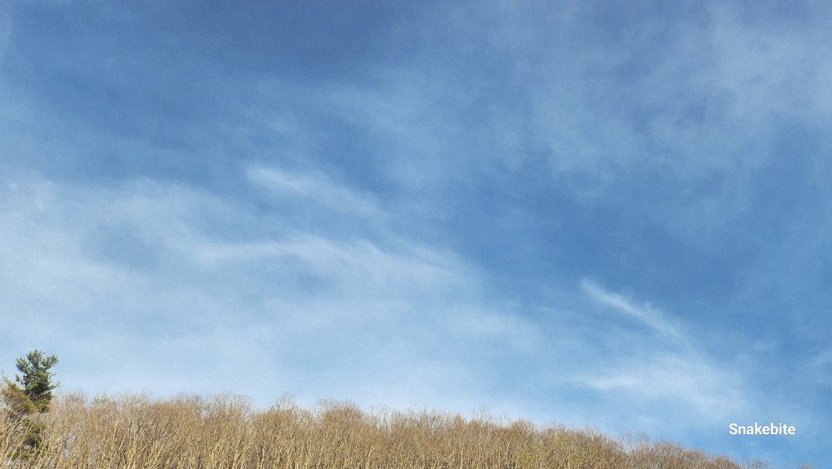 NHoffman87616's tweet image. NSEW WV 4/15 18:00 86° 
4 the record 
Plastic stench ! 
Very dry and hot. 
Back to freezing in days. 
A VERY slow spring. 
No forage. 📡☠️

@GeoWatchGallery 
@geoengwatch
#stratosphericareosolinjection #solarradiationmanagement
#weatherearfare
#weatherterrorism 
#5G #6G #Agenda