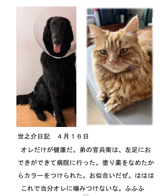 coputa🇯🇵 tweet media