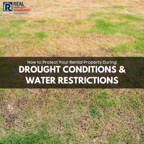 RPMColo's tweet photo. Colorado water restrictions are on the rise 🌊💧. Landlords &amp; tenants, learn how to safeguard your home during drought conditions. Read our latest blog for tips! Colorado is entering Stage 1 Water Restrictions across many areas—so what does that mean for landlords and tenants... https://t.co/E3VS0umJRt
