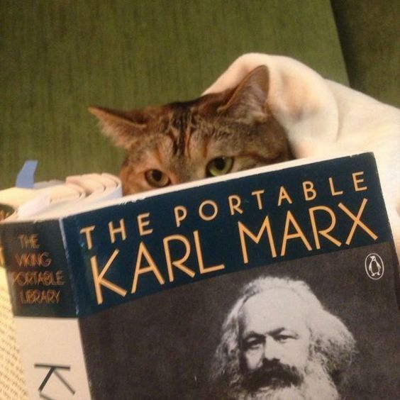 Cats read Karl Marx.