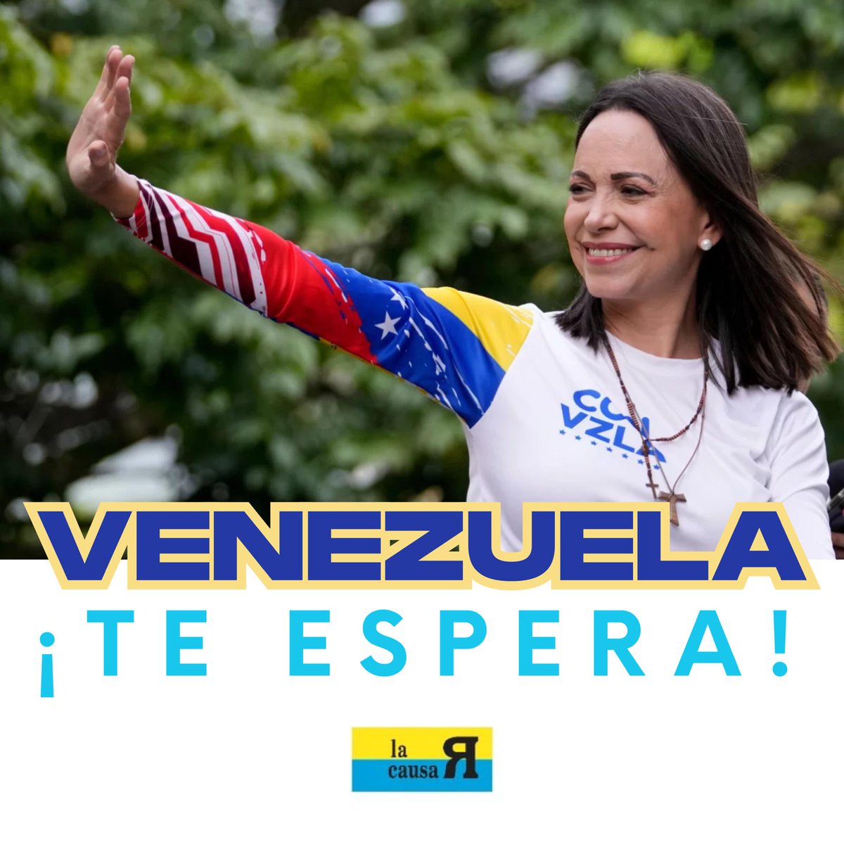 Andrés Velásquez tweet media