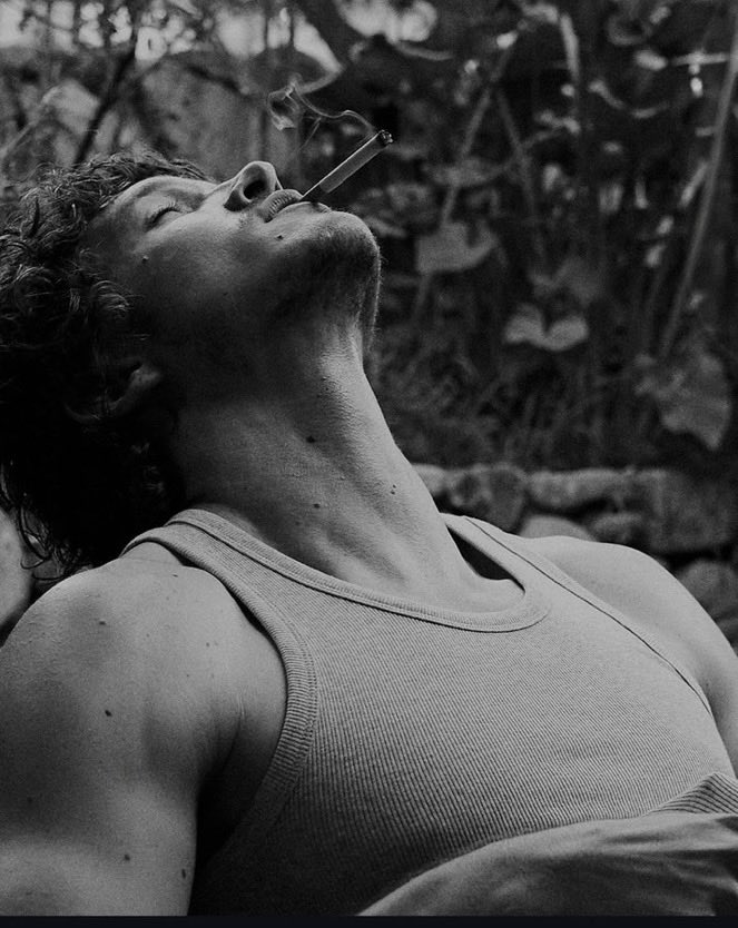 Ninna Callas tweet media