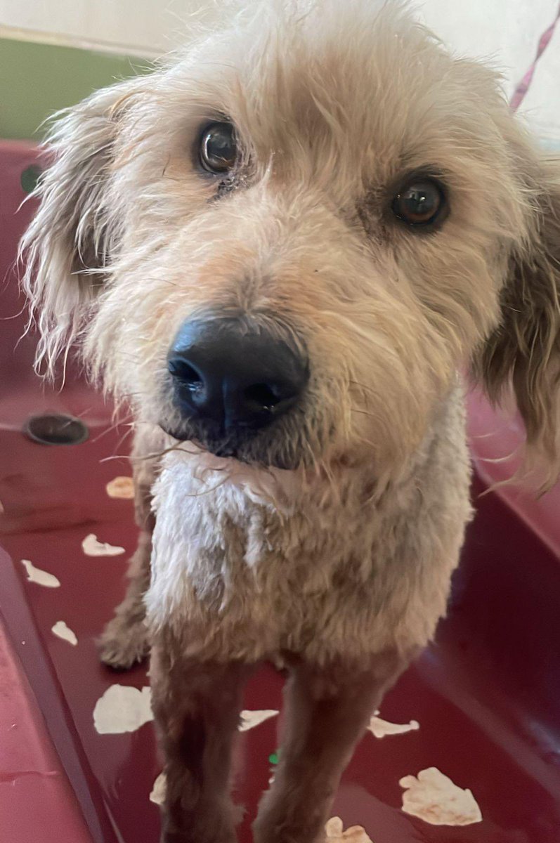 Gina..🌷 tweet media