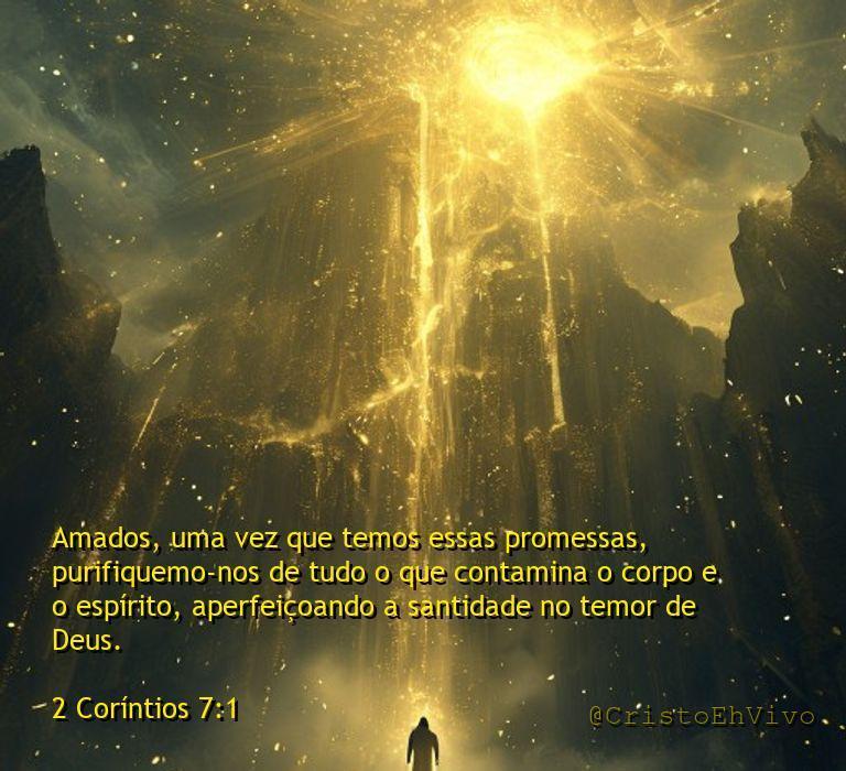 Cristoehvivo's tweet image. Queremos as promessas, mas fugimos do "detox" como se fosse boleto. Santidade não é filtro de Instagram, é faxina bruta onde ninguém vê. Bora limpar esse espírito que tá mais acumulado que gaveta de bagunça. (2 Co 7:1) #Santidade #Detox #Realidade