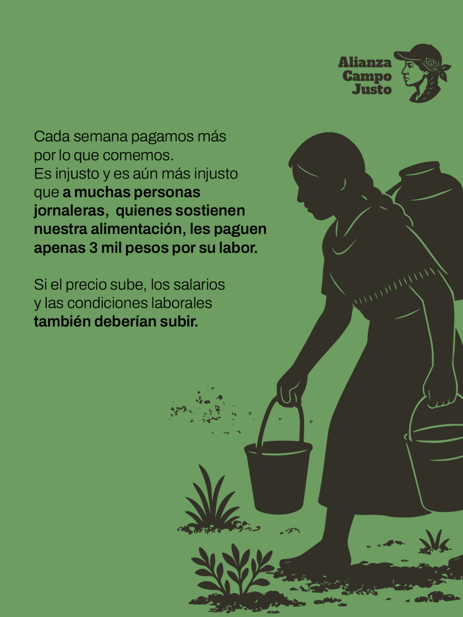 Oxfam México tweet media