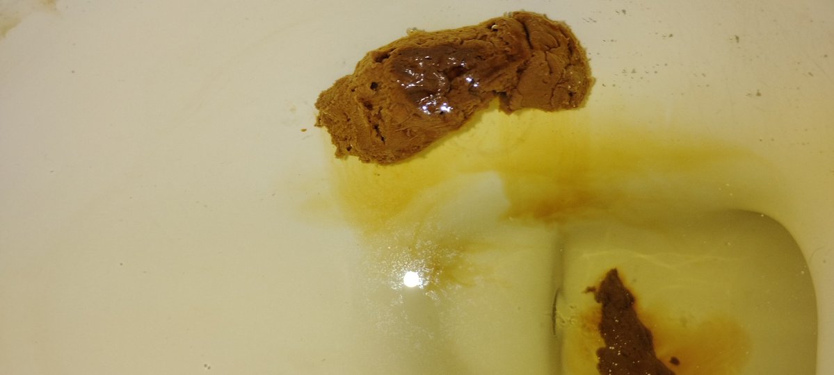 WILDTROLLEod's tweet image. @Da_Diabolical1 this gone be the after math of you and ya city 🤣🤣#shitty