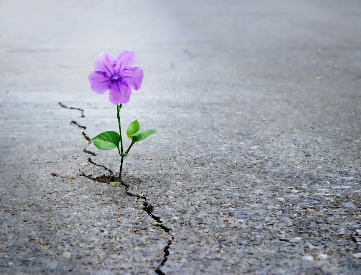 عَازف 💫 ✨ 🎸 tweet media