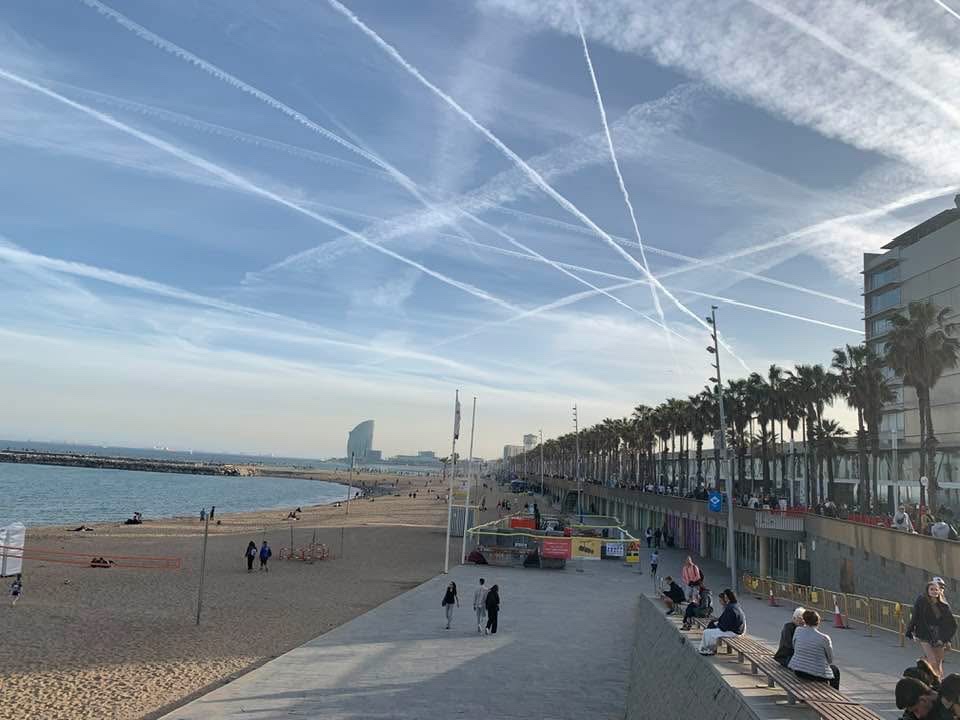 BEYOND THE VEIL tweet media