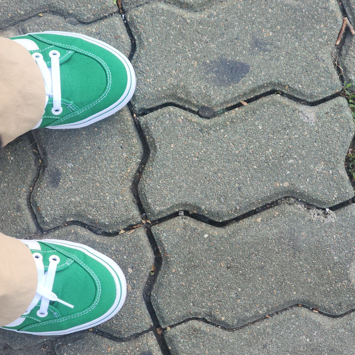 감녕이 아커만 tweet media