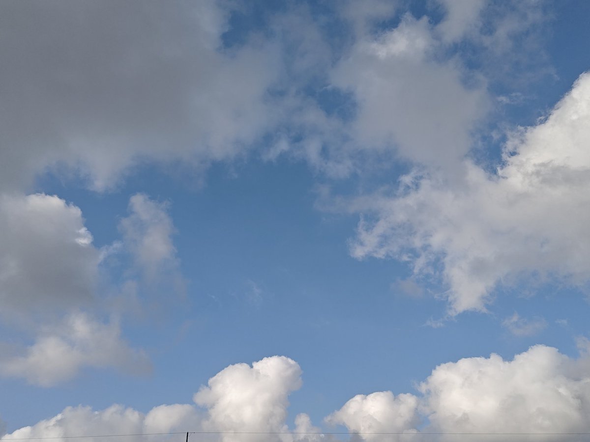 ほ″一 ん 〄 tweet media