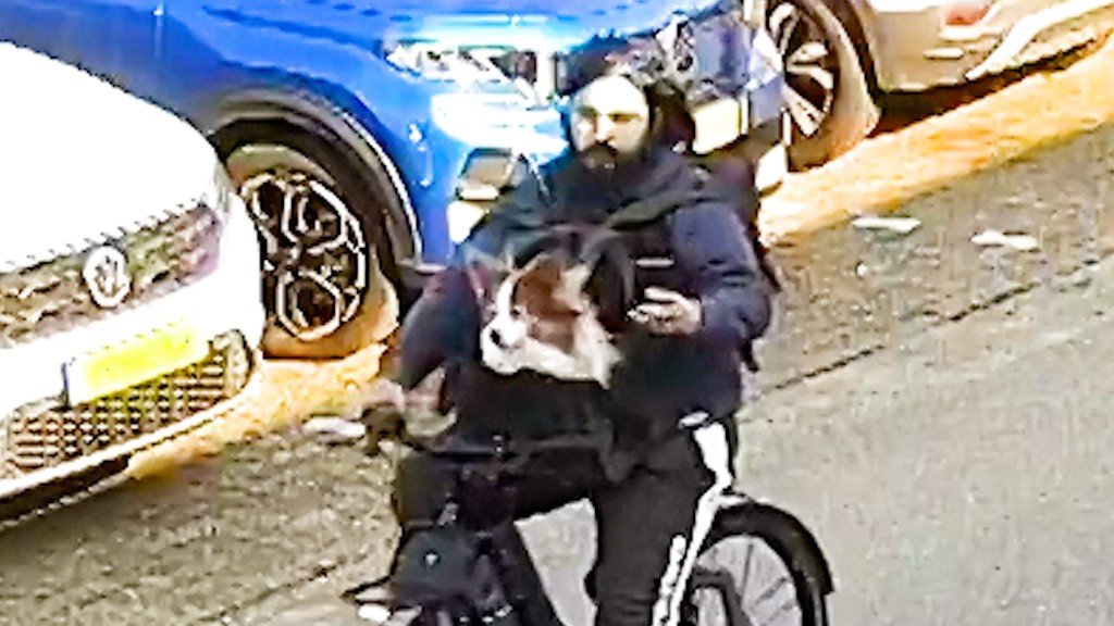 #Retweet (Maak m beroemd)
Messensteker Zoetermeer
Herkenning ?
politie.nl/gezocht/opspor…

#NieuwsInPerspectief