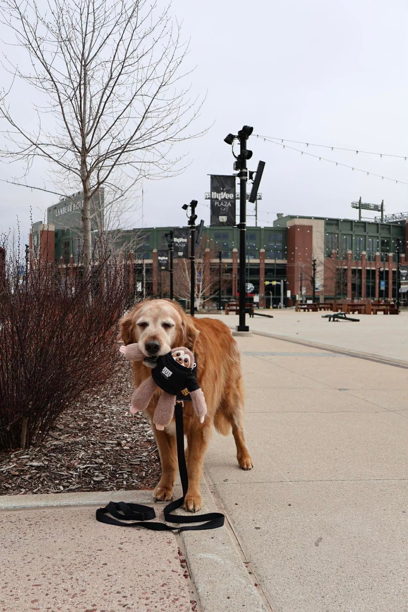 Titletown tweet media