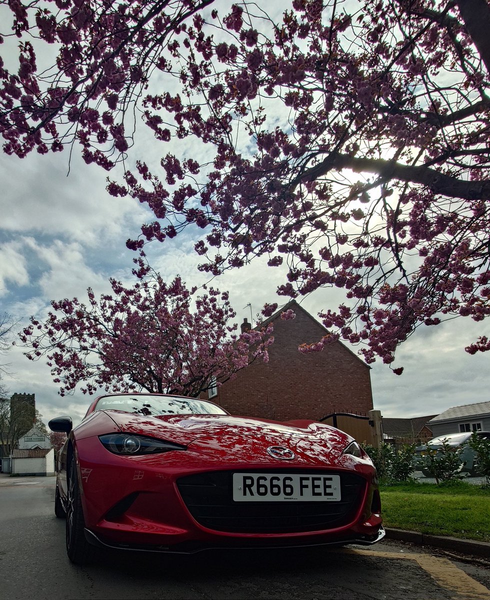 I'm__only_sleeping__! tweet media