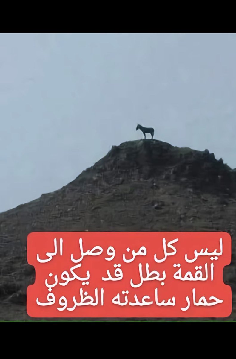 العالمي tweet media