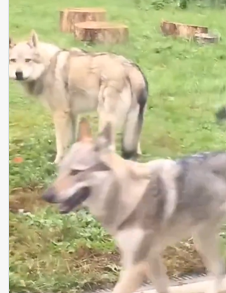 William Teach2 🏴‍☠️ I Don't Really Care tweet media