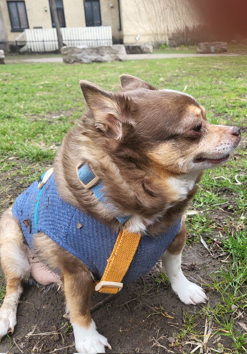 Willow🍁 tweet media