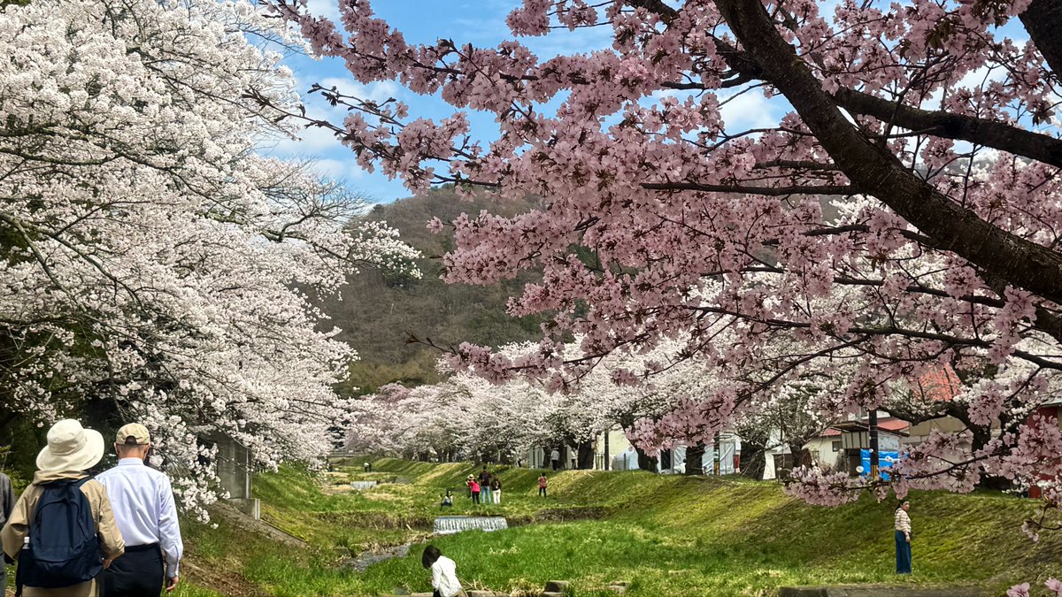 香𖤣𖥧𖥣𖡡𖥧𖤣 tweet media