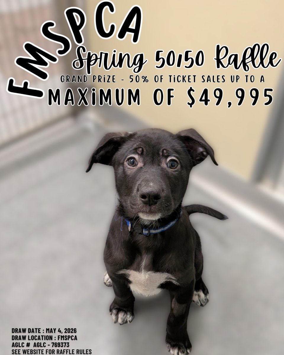 TanyYao's tweet image. The Fort McMurray SPCA's big Spring 50/50 raffle is live! One lucky winner could get a HUGE jackpot of $49,995.

Get your tickets today at: rafflebox.ca/raffle/fortmac…

#RMWB #YMM #ABleg #SPCA #Fureverhome @YourAlberta  @UCPCaucus  @ABDanielleSmith  @BrianJeanAB  @FMSPCA