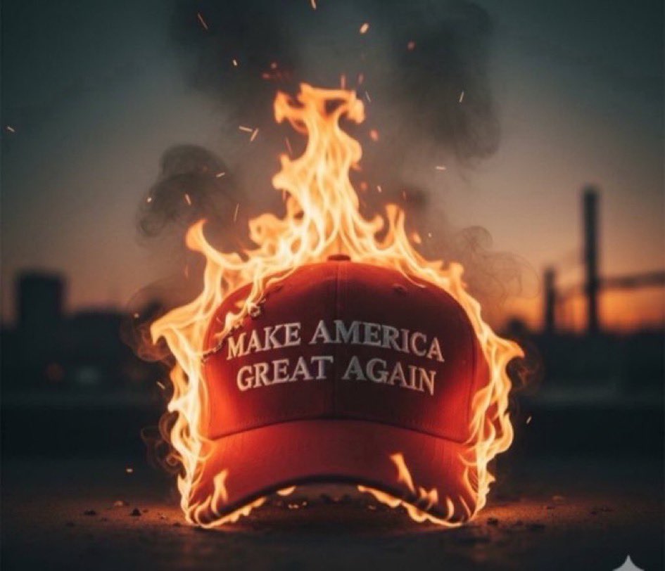 TPBlue 🇺🇸🦅 tweet media