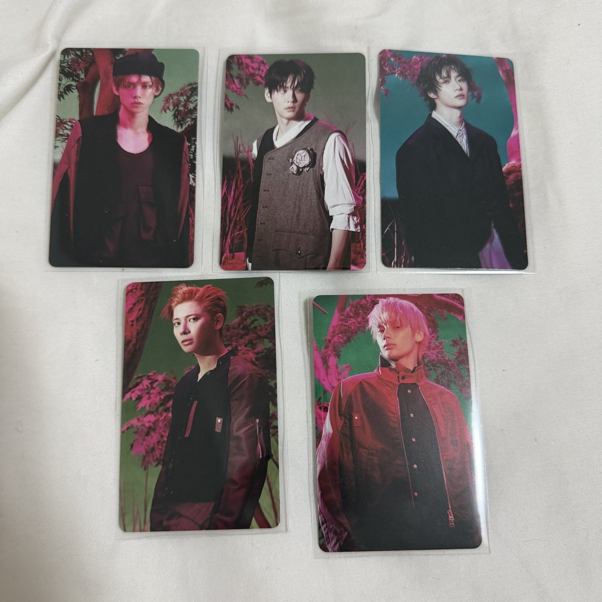 cookie🍪 tweet media