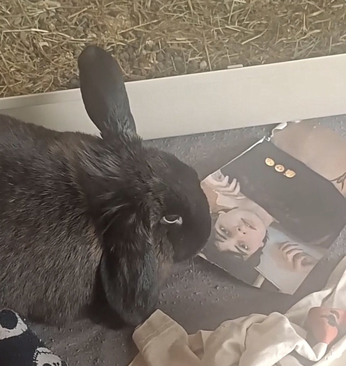 dani ✚ ˚˖ tweet media